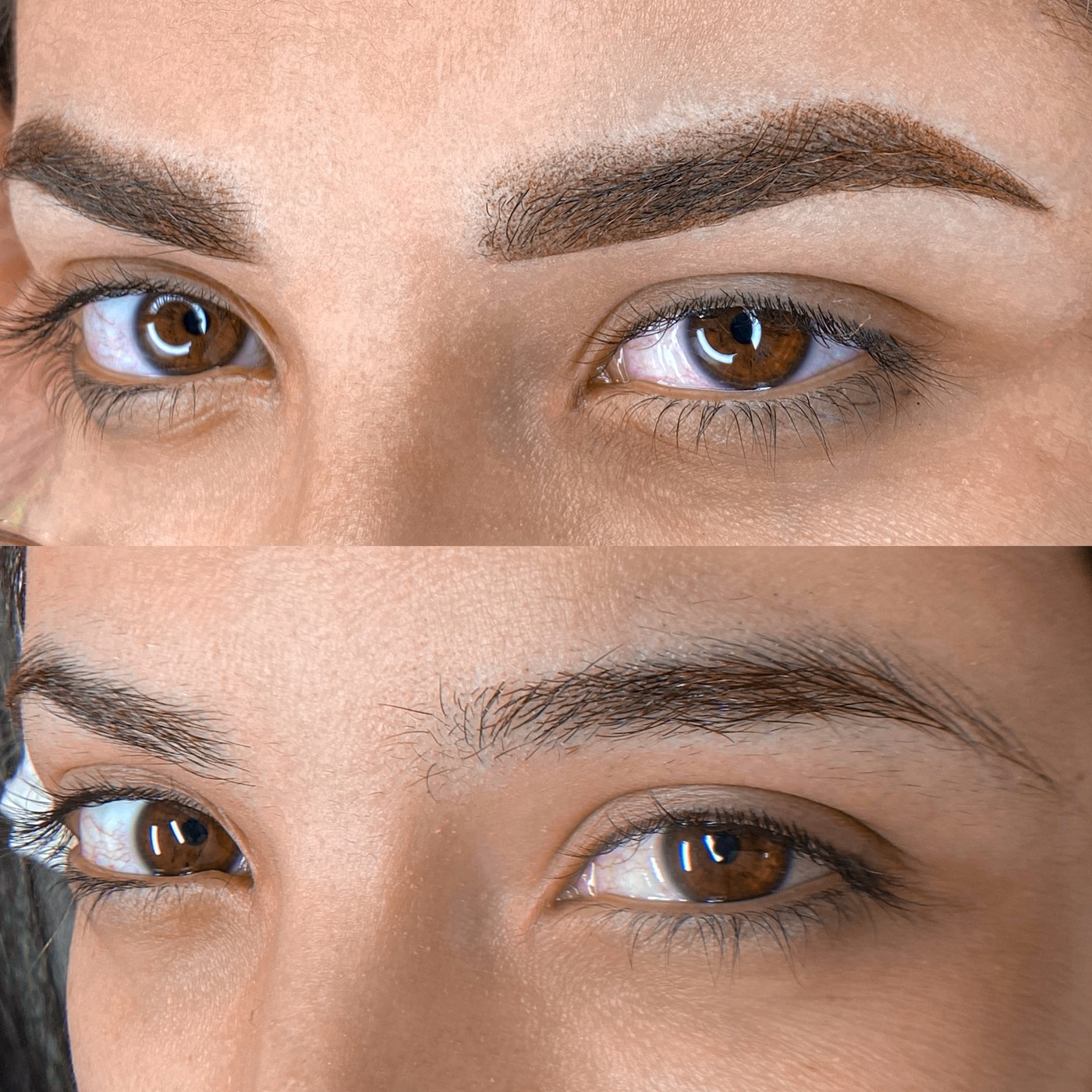 Powderbrows Workshop